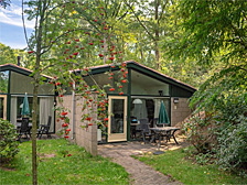 Meest geboekte bungalows van Vakantiepark De Lommerbergen (Landal)