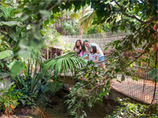Voordelen die je ontvangt bij Center Parcs Friends